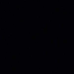 Meet your Posher, Paige